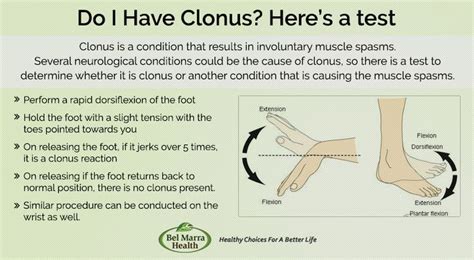 What is Clonus? Causes, Tests and Treatments | Muscle spasms, Occupational therapy activities ...