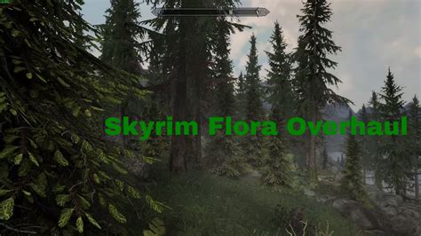 Skyrim Flora Overhaul Special Edition Mod Showcase by vurt - YouTube