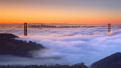 Golden Gate Fog Video – Bing Wallpaper Download