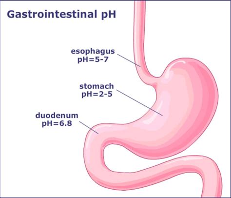 Gastric Acid Ph