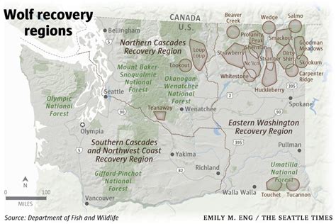 WA: With cattle in Washington’s wolf country, ranchers work and worry ...