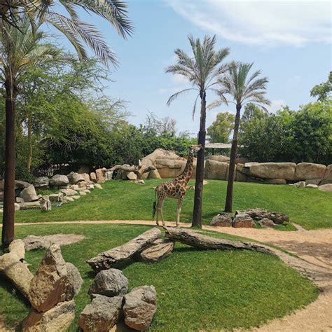 Bioparc Valencia tickets | València