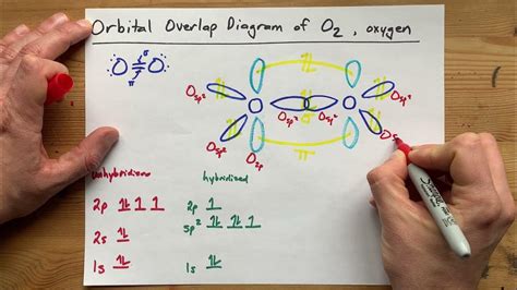 Draw the Orbital Overlap Diagram of O2 (Oxygen gas) - YouTube