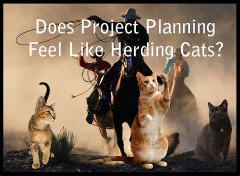 "be like herding cats" To be very unwieldy or unmanageable; to be nearly impossible to organize ...