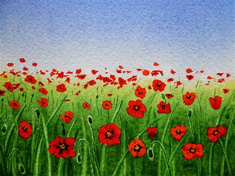 A Thousand Poppies In The Field