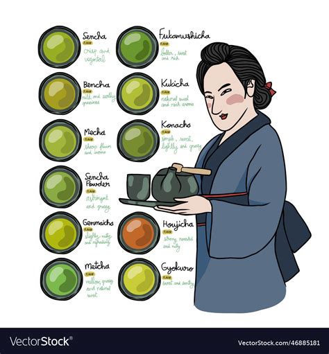 Types of japanese tea info graphic Royalty Free Vector Image