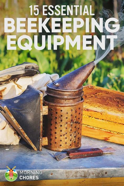 15 Essential Beekeeping Equipment Every Beekeeper Can't Live Without | Bee keeping, Beekeeping ...