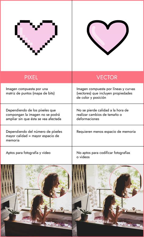 Diferencia entre pixel y vector | Escuela Project Party