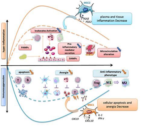 Mechanism Of Action | Steminov