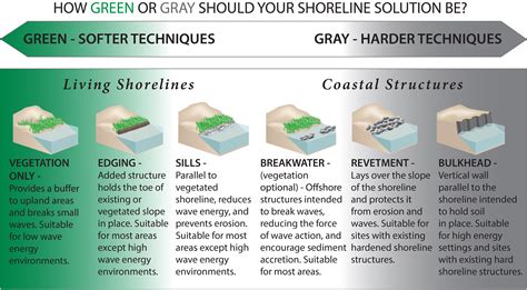 Restore and protect natural shorelines: Use living shoreline techniques ...