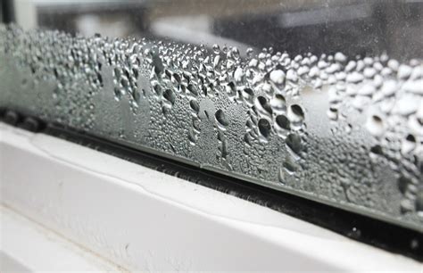 What Causes Window Condensation and How YOU Can Avoid It