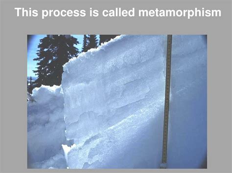 PPT - Snow Metamorphism PowerPoint Presentation, free download - ID:5322996