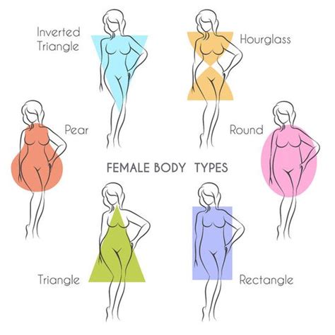 Female Body Shapes Chart