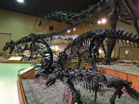 Wyoming Dinosaur Center – East Thermopolis, WY – Natural Atlas