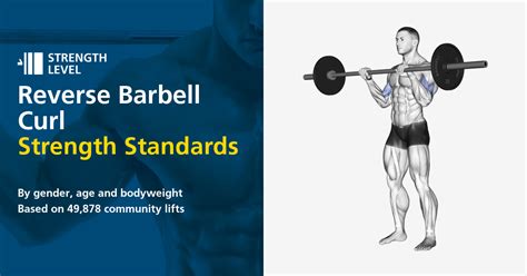 Reverse Barbell Curl Standards for Men and Women (lb) - Strength Level