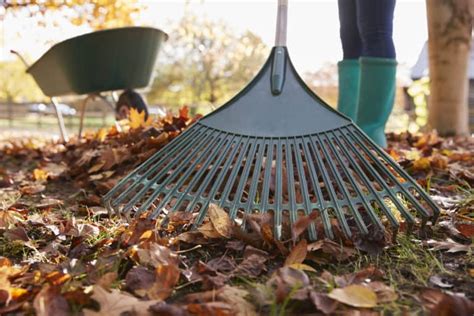 7 Best Leaf Rakes (2022 Reviews) - Oh So Spotless