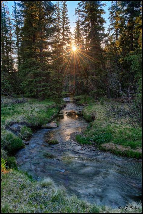 Mt Baldy Wilderness, Apache National Forest, White Mountains, Arizona. (Photo by E. J. Peiker ...