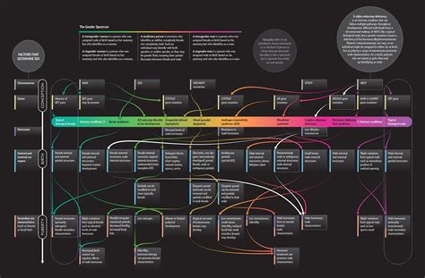 Gender Spectrum Chart