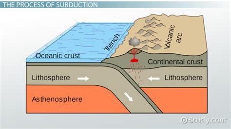 Ocean-continental convergence Diagram | Quizlet