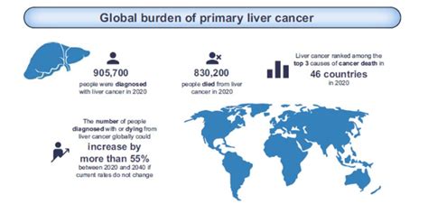 Liver cancer cases and deaths projected to rise by more than 55% by ...