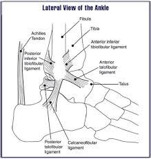 Anterior Ankle Impingement Syndrome - Physiopedia