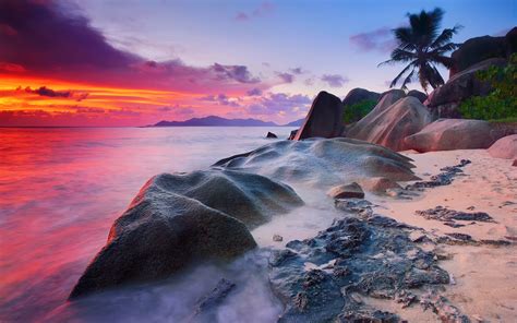 Seychelles, La Digue Island, Indian Ocean, sea, stones, palm trees, sunset wallpaper | nature ...