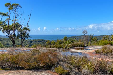 Australian Bush Landscape with Coastal Horizon | Tessellated… | Flickr