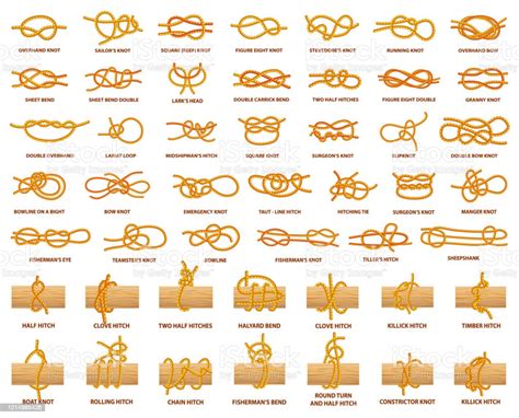 Tutti I Tipi Di Nodi Dimostrati Con Forte Corda - Immagini vettoriali stock e altre immagini di ...