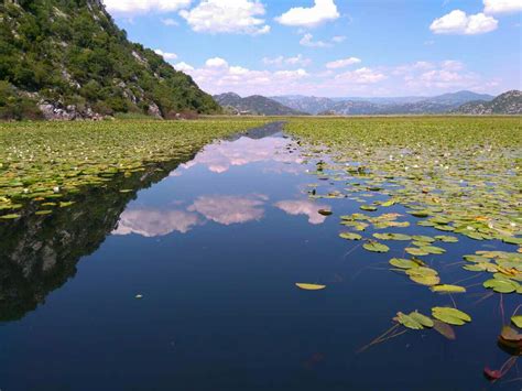 National Park – Skadar Lake, Traveler experience – Golden Bay Tours