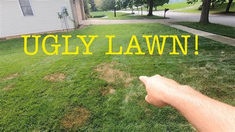 How to treat for brown patch in the lawn - YouTube