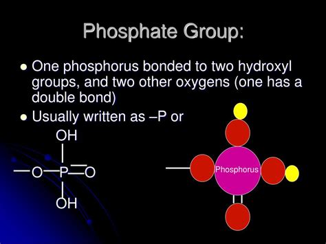 Phosphate Group