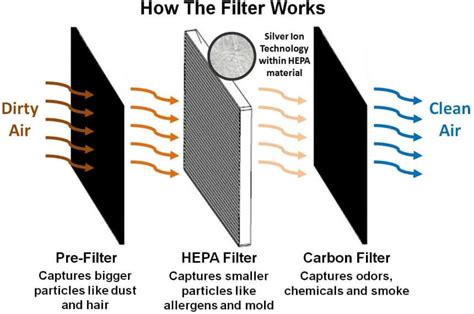 Air Ionizer vs Air Purifier: The Difference Explained