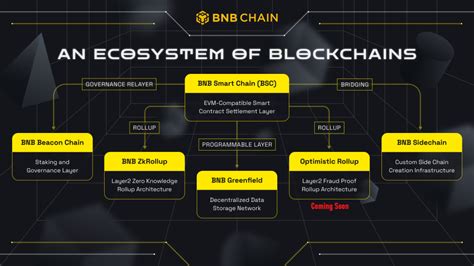 Binance Smart Chain: quick guide to EVM powerhouse | Atato