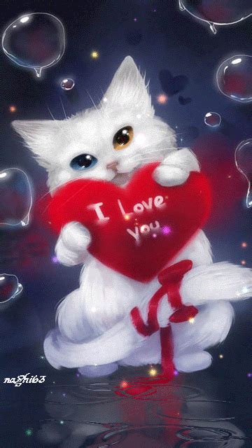 chaton blanc i love you coeur etoiles Image, GIF animé