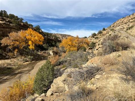 2023 Best trails in Navajo Lake State Park | AllTrails