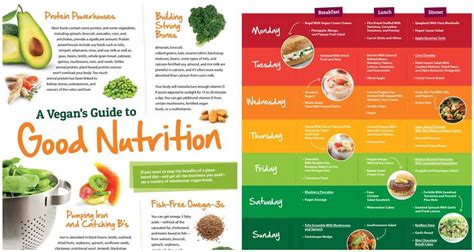 Vegan Nutrition Guidelines - Andi Healthy