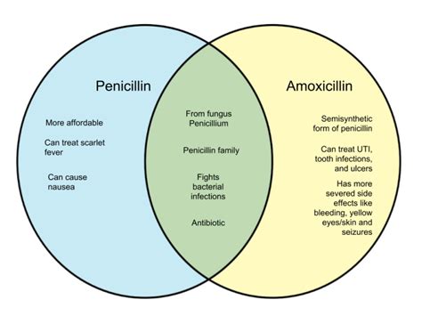 Difference Between Penicillin and Amoxicillin (1) – WHYUNLIKE.COM