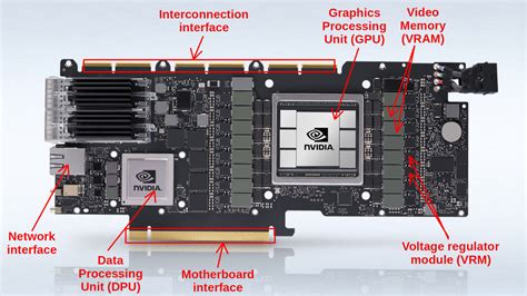 A complete anatomy of a graphics card: Case study of the NVIDIA A100