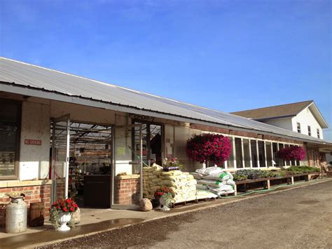 Amish Horses: Amish Greenhouse