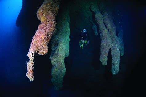 Diving The Great Blue Hole: What Lies Below In Belize