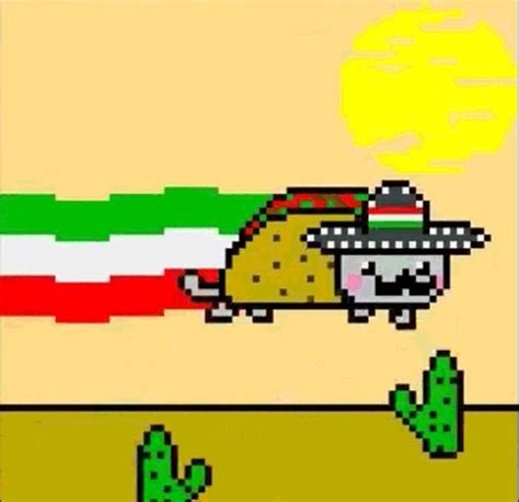 Taco Cat Gif - Nyan Cat Photo (26042543) - Fanpop