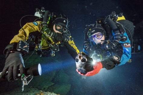 Underwater Cave Holds Oldest Human Skeleton in the Americas – The Bridge