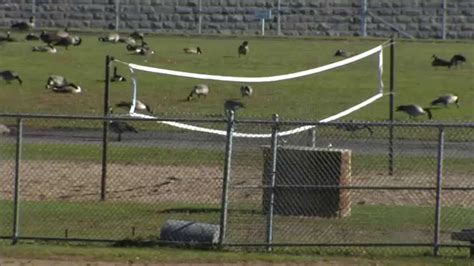 A rare look inside St Cloud prison | St cloud, Prison, Clouds