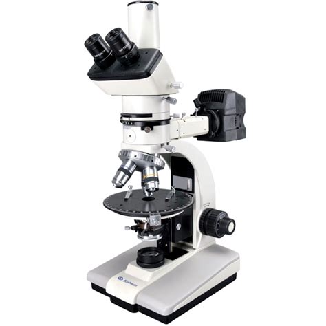 What is a dark field microscope? - Kalstein France