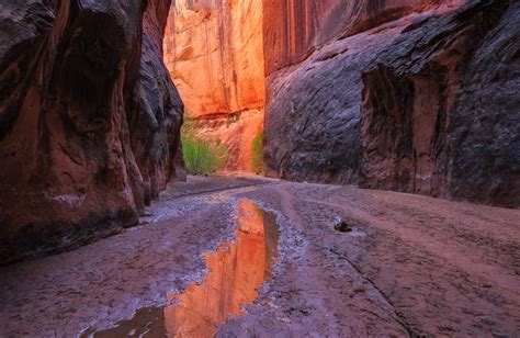 Slot Canyon Photo Tour in Utah - Full Day : Action Photo Tours