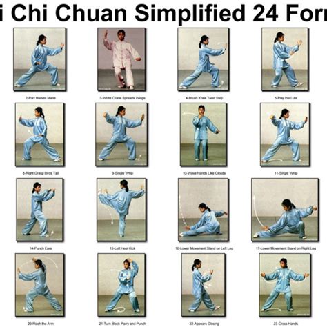 Stream Tai Chi 24 form music by Wildan Karim 7 | Listen online for free ...