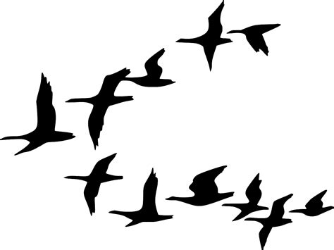 SVG > geese patterns birds goose - Free SVG Image & Icon. | SVG Silh