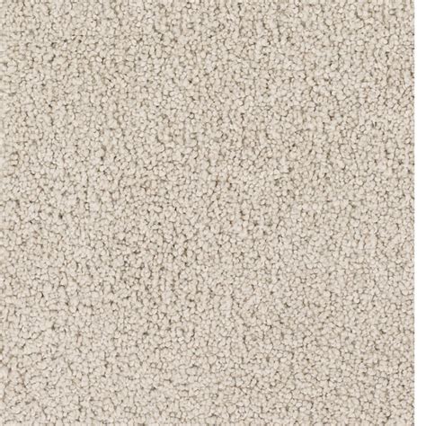 Shop Dixie Group TruSoft Pomadour Cream/Beige/Almond Textured Indoor Carpet at Lowes.com