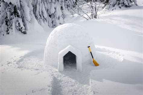 Real snow igloo house in the winter Carpathian mountains - EnVision ...