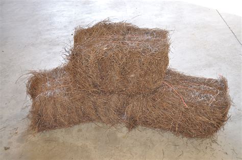 Pine Straw Bales | Indianapolis Pine Straw | Grass Seed